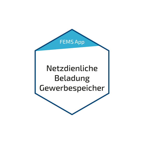 Fenecon FEMS Netzdien. Beladung Gewerbe(FEM904)