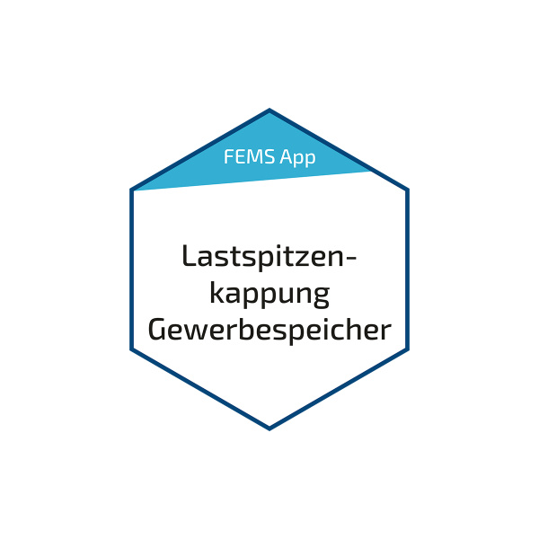 Fenecon FEMS Lastspitzenkappung Gewerbe(FE911)