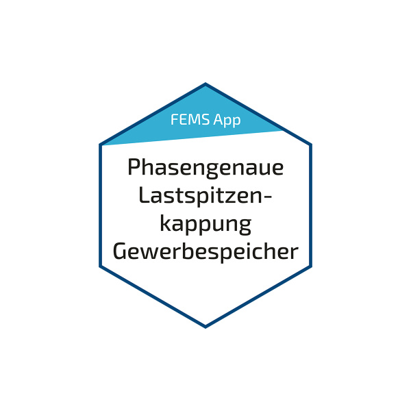 Fenecon FEMS Lastspitzenkappung phasengen (FEM914)